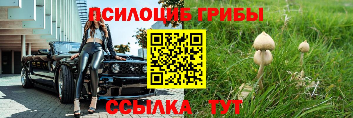 Валуйки  Галлюциногенные грибы Psilocybine cubensis  Псилоцибиновые грибы мицелий  Вход с VPN 